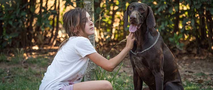 agriturismi che accettano cani
